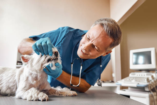 Best 24-Hour Emergency Dentist in Nahunta, GA